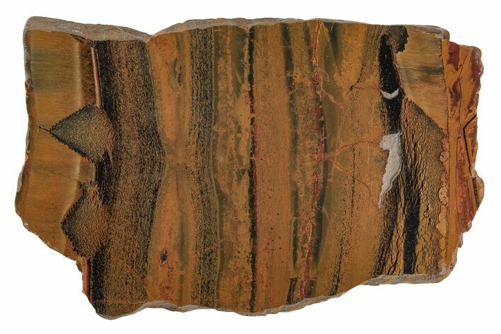 Polished Packsaddle Tiger Eye Slab - Western Australia #216753